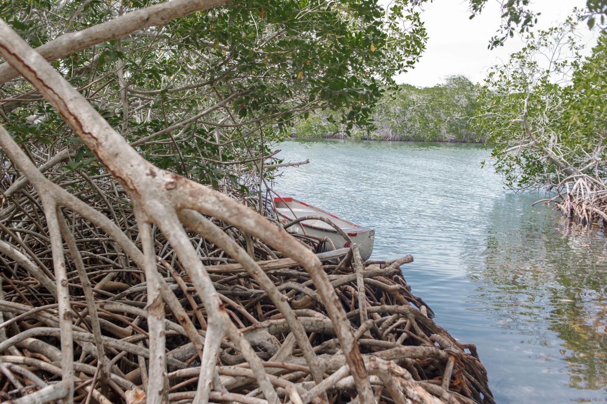 Isla Grande Eco-Hostal ภายนอก รูปภาพ